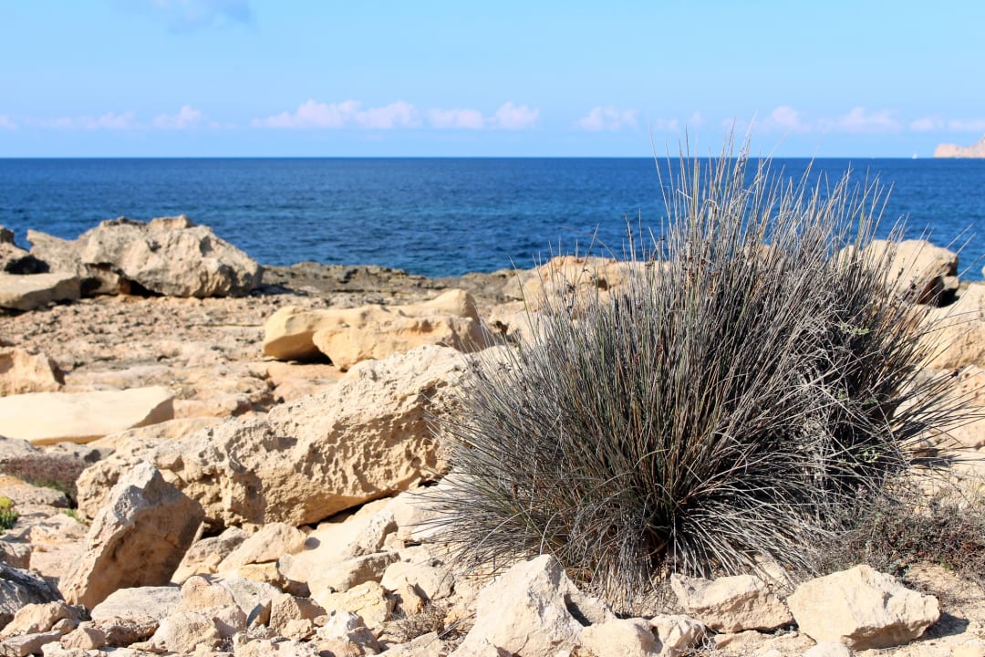 Felsplateau Sirenis Seaview Country Club