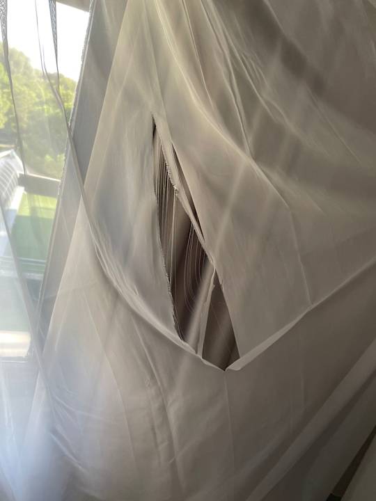 Zimmer Balmy Foresta