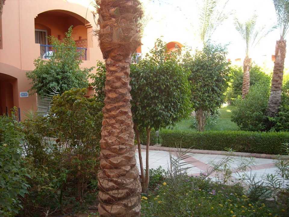 Makadi Oasis Jaz Makadi Oasis Resort