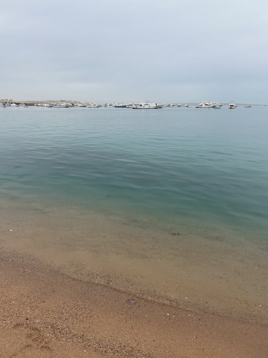 Strand The Grand Hotel Hurghada