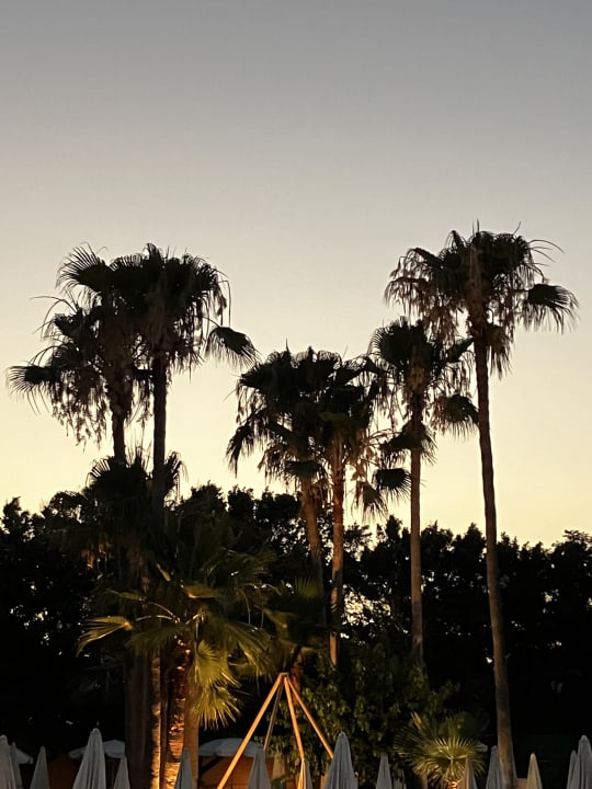 Gartenanlage Hotel Grecian Sands