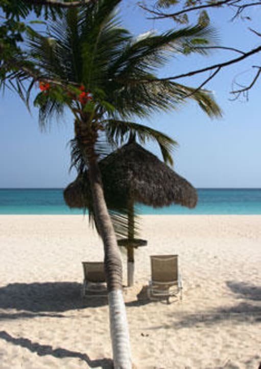 Divi - Strand Divi Aruba All Inclusive