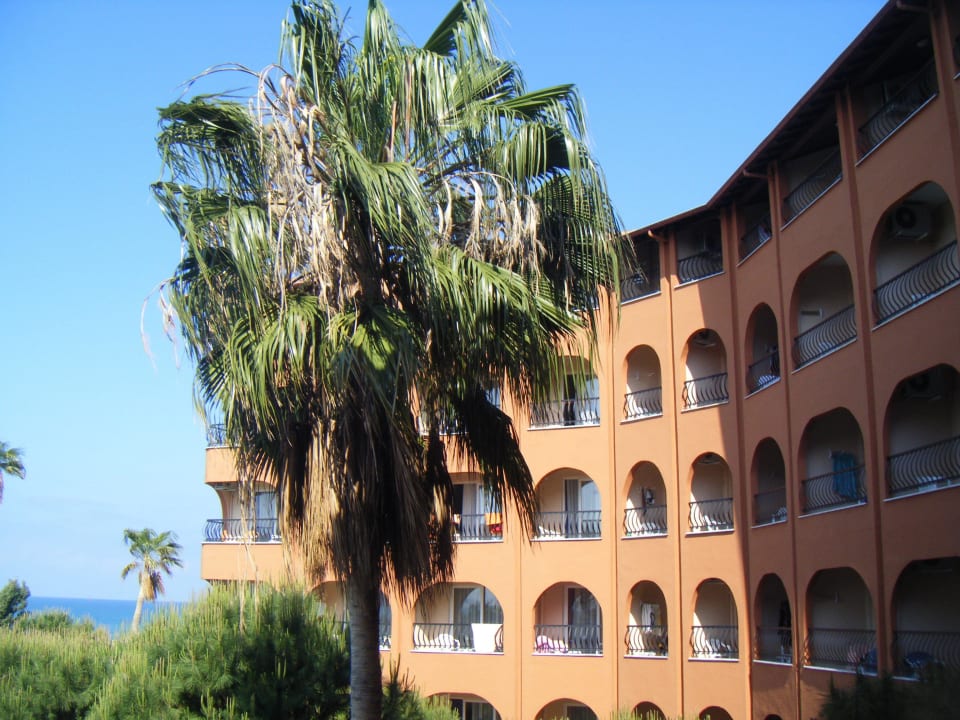 Seitlicher Ausblick Club Turtas Beach Hotel