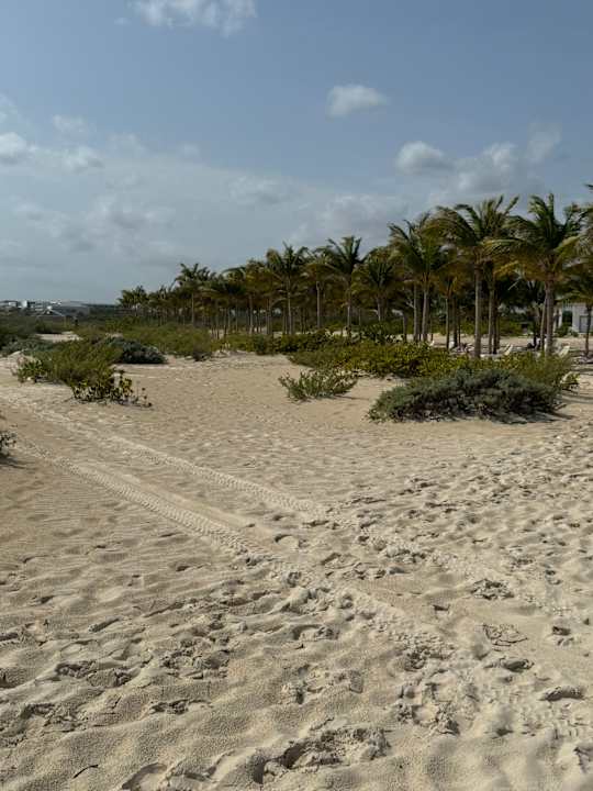 Strand Hotel Riu Latino - Adults Only