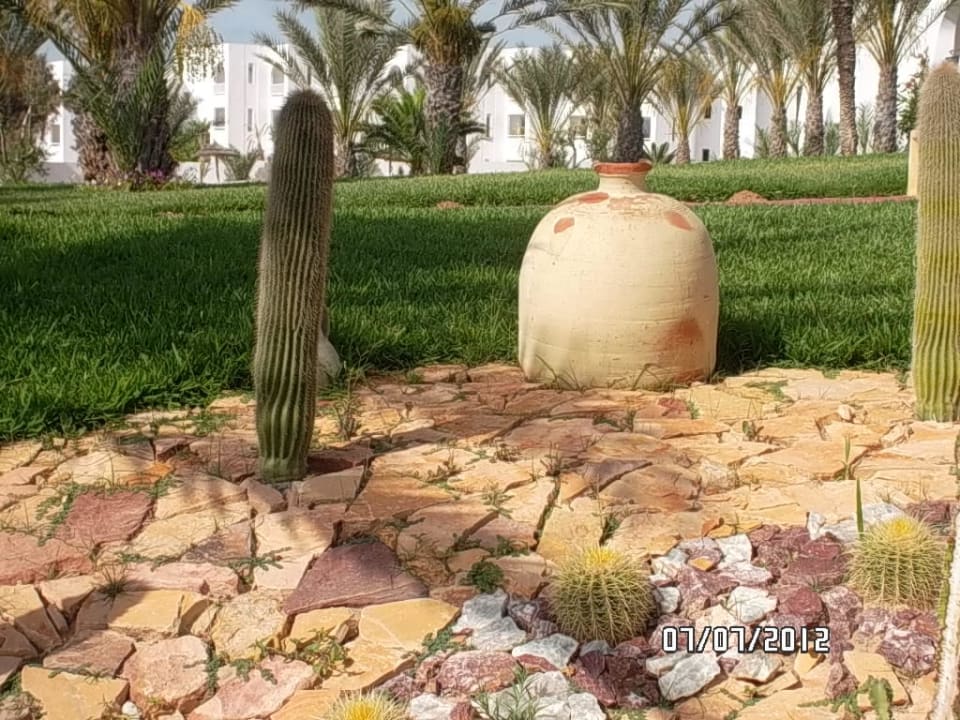 Aud dem Weg zum Meer Club Palm Azur