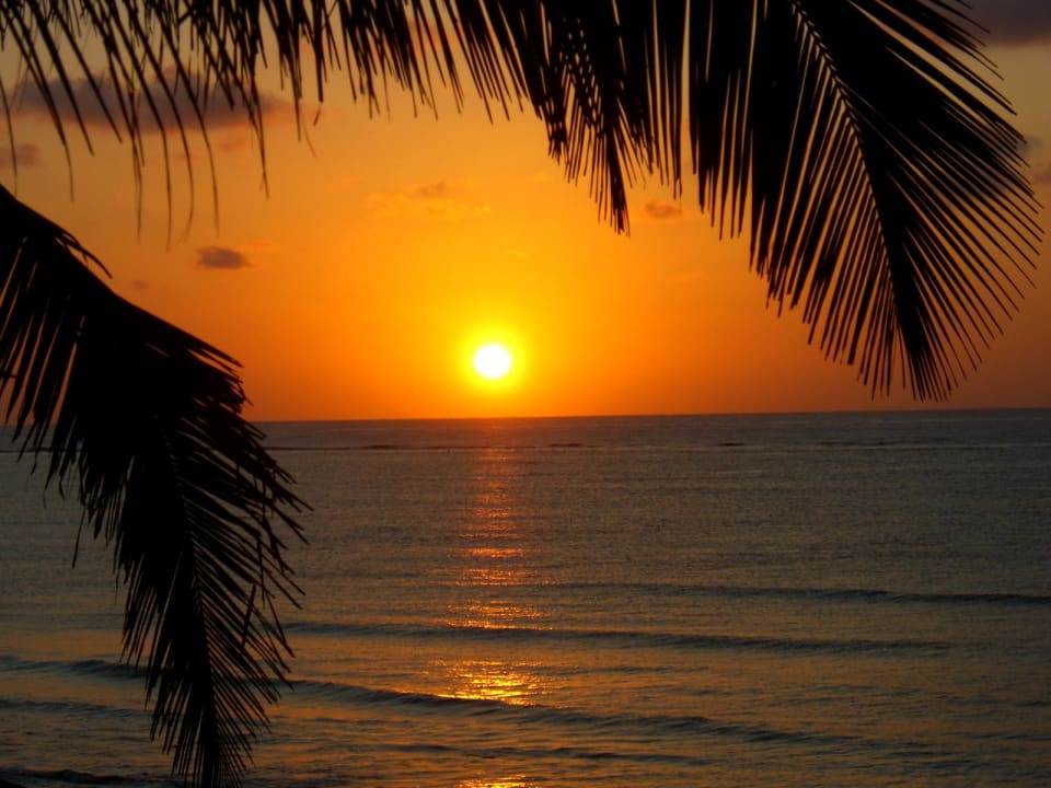 Sonnenaufgang Akumal Bay Beach & Wellness Resort