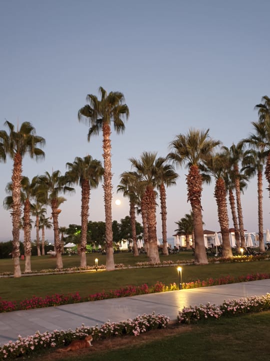 Ausblick Arcanus Hotels Sorgun