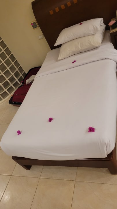 Zimmer Shams Prestige Abu Soma-Adults Only