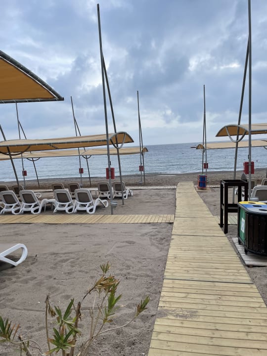 Strand Arycanda Kirman Premium