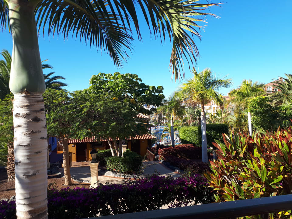 Gartenanlage Bahia Principe Sunlight Costa Adeje