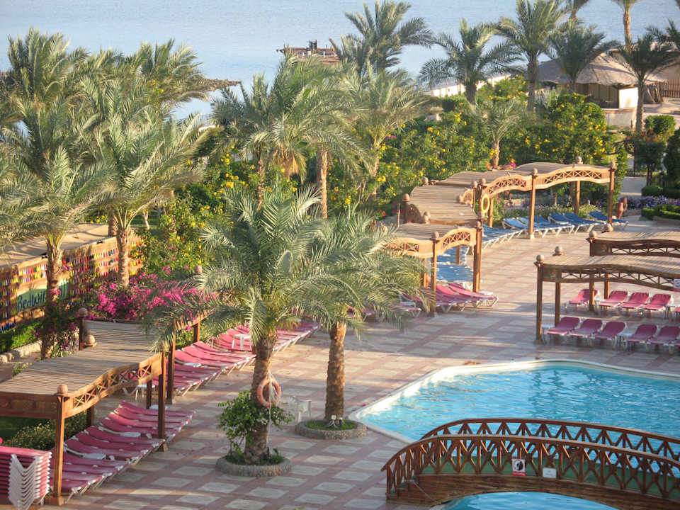 Вид с балокна 5 этажа Riviera Aqua Park Resort