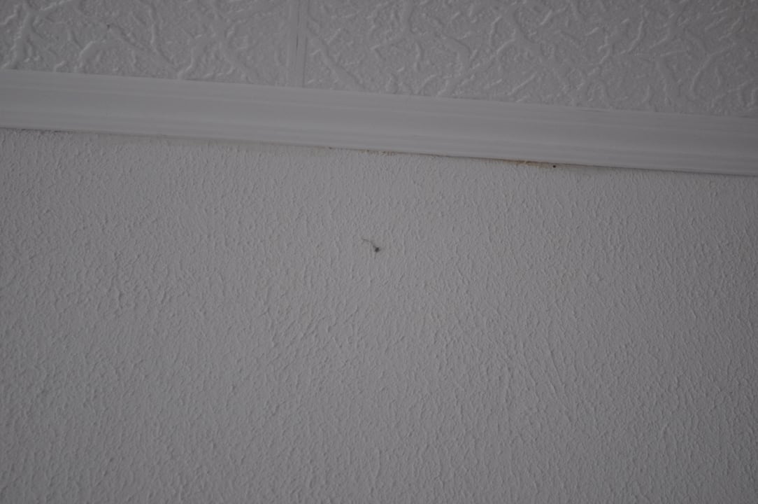 Zustand des Zimmers Hotel Rainbow-Inn