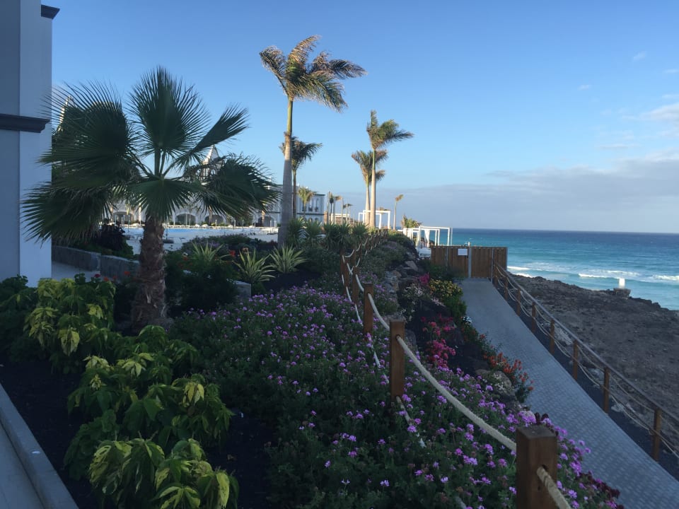 Ausblick Royal Palm Resort & Spa - Adults only