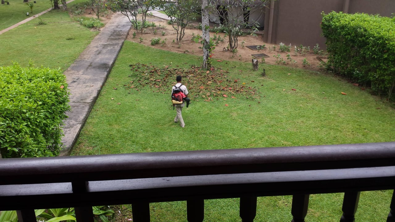 Mittagsruhe an 3 Tagen gestört Constance Ephelia