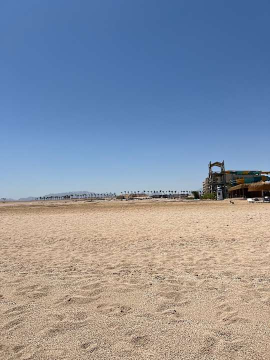 Strand JAZ Elite Asteria