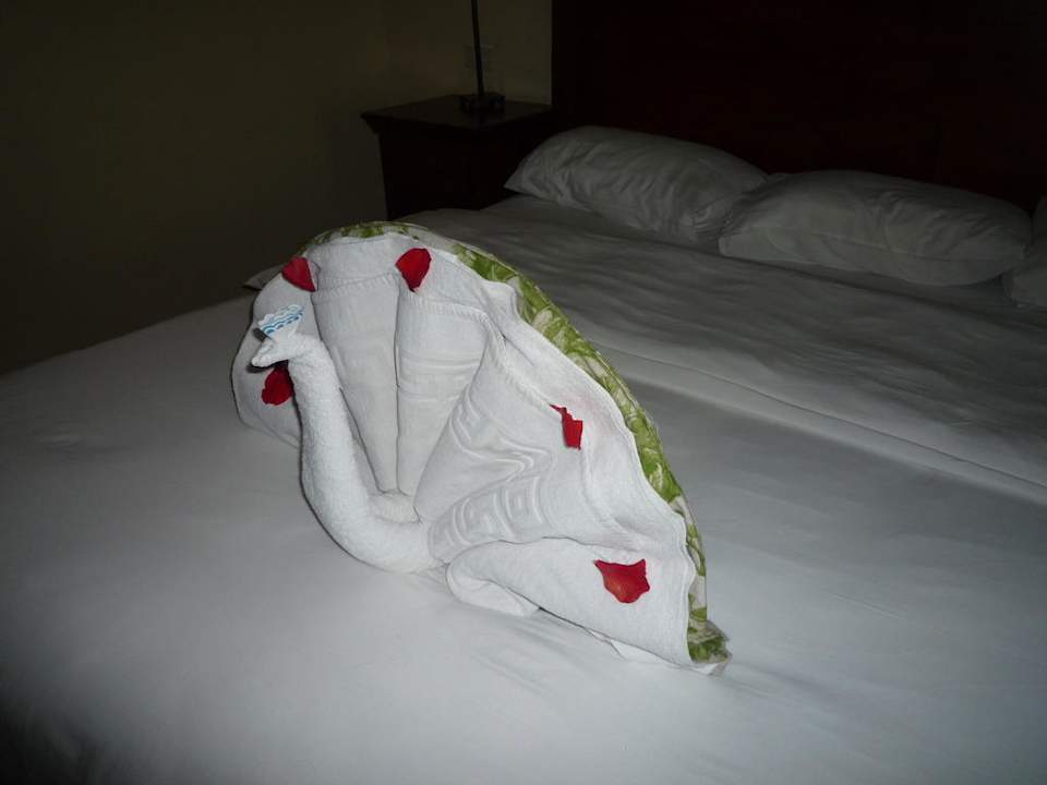 Dekoration vom Roomboy Ghazala Gardens