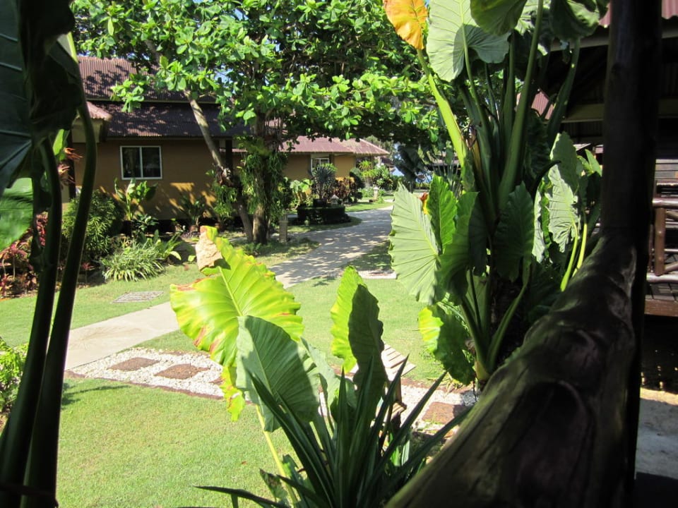 Aussicht von der Terrasse Hotel Lanta Castaway Resort