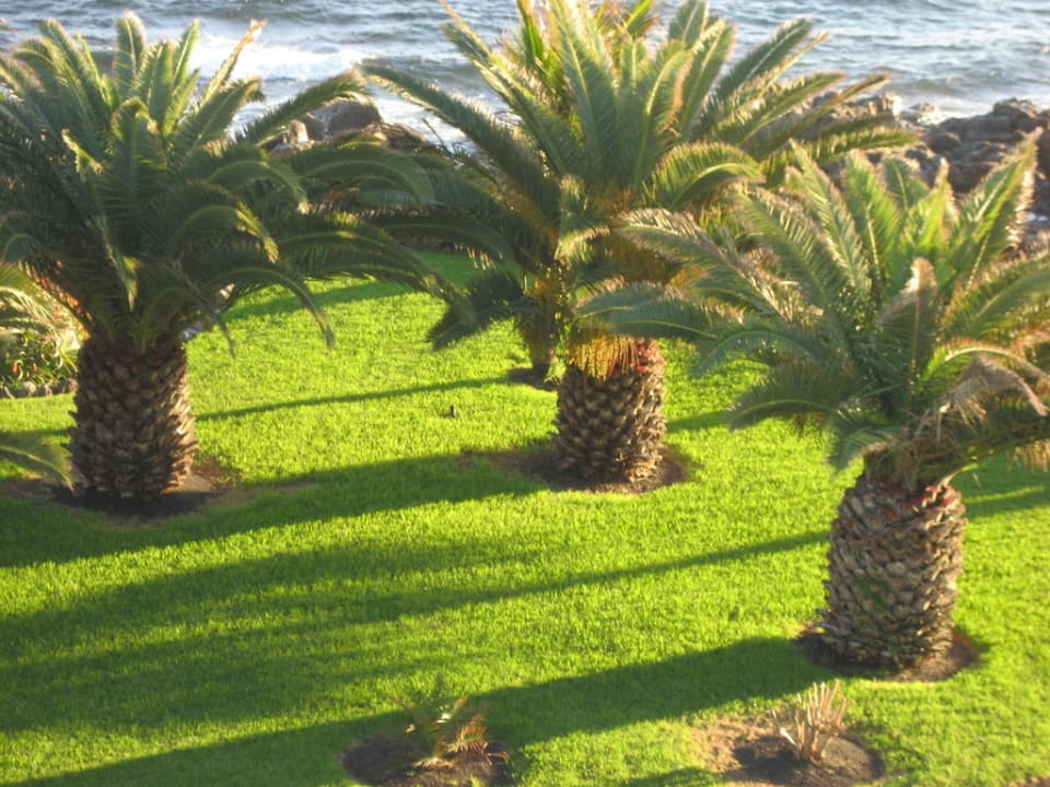 Blick aus dem Zimmerfenster Hipotels Natura Palace
