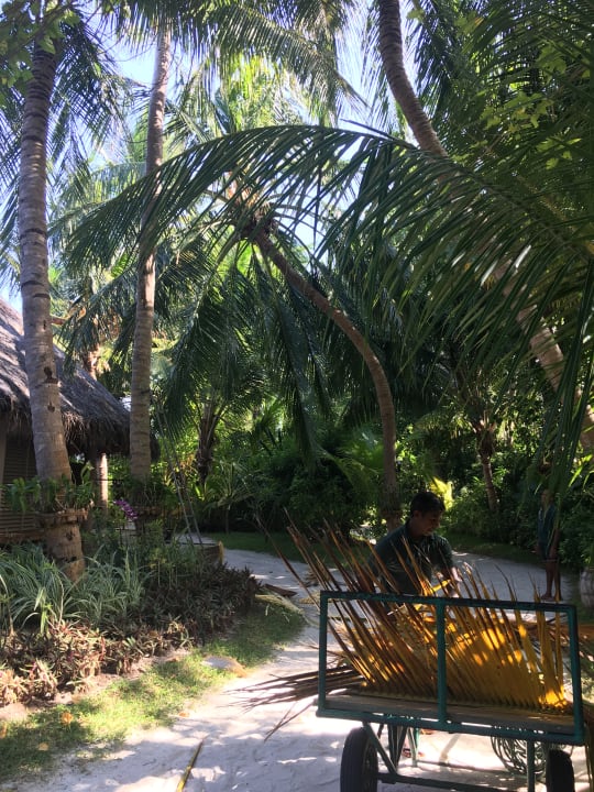 Gartenanlage Veligandu Maldives Resort Island