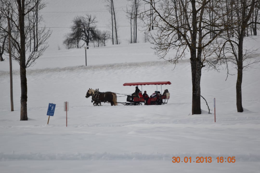 Kutschfahrt mit Samocard umsonst! aja Bergresort Werfenweng