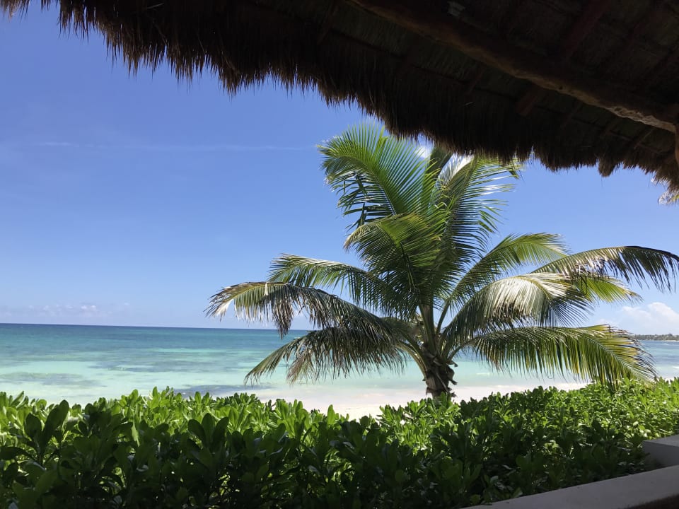 Ausblick Akumal Bay Beach & Wellness Resort