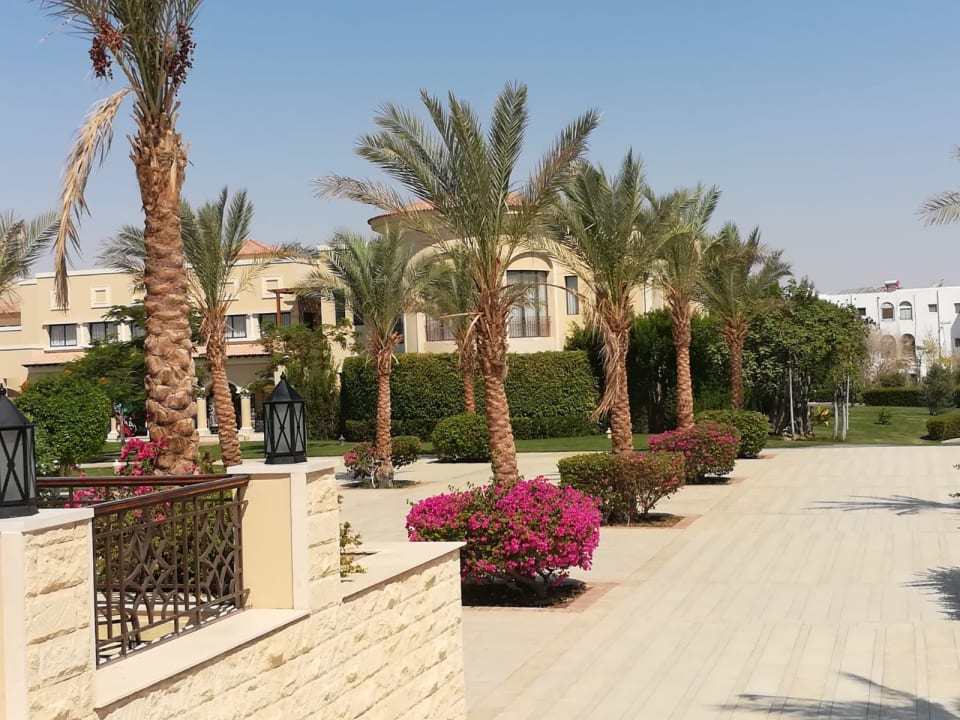 Gartenanlage JAZ Aquamarine Resort