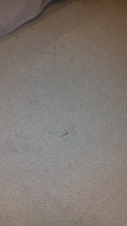 Zimmer Hotel Domicil Hamburg by Golden Tulip