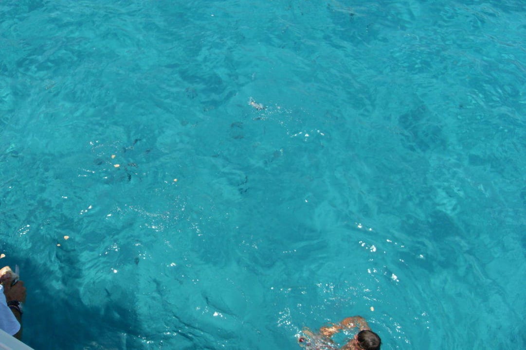 Glasklares Wasser Hipotels Mediterraneo Club