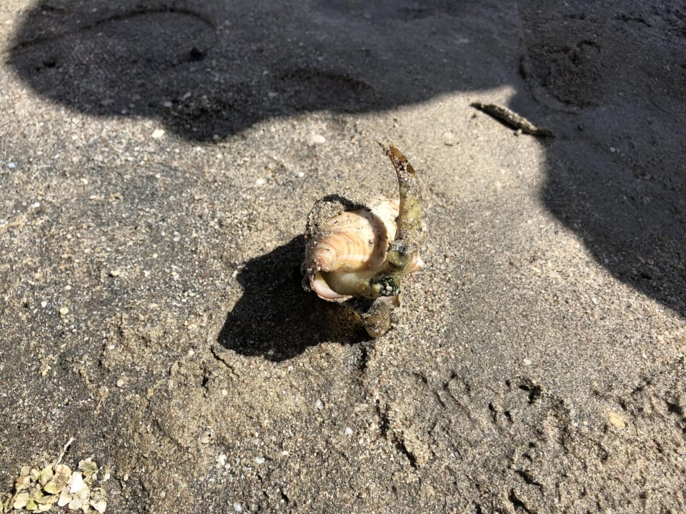 Strand Steigenberger Aqua Magic