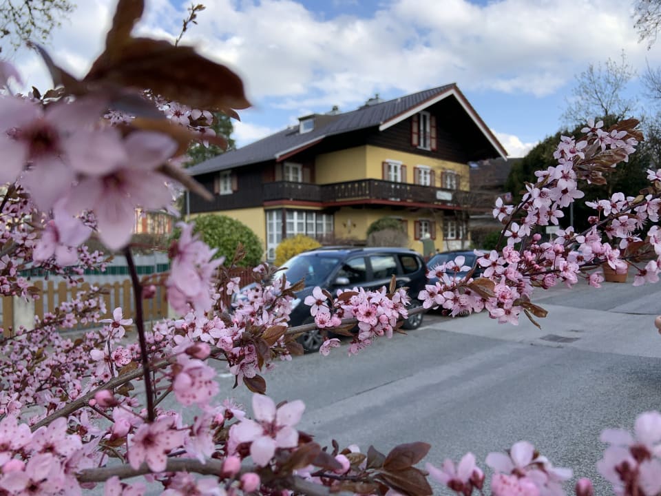 Außenansicht Landhaus luise fly in & sleep