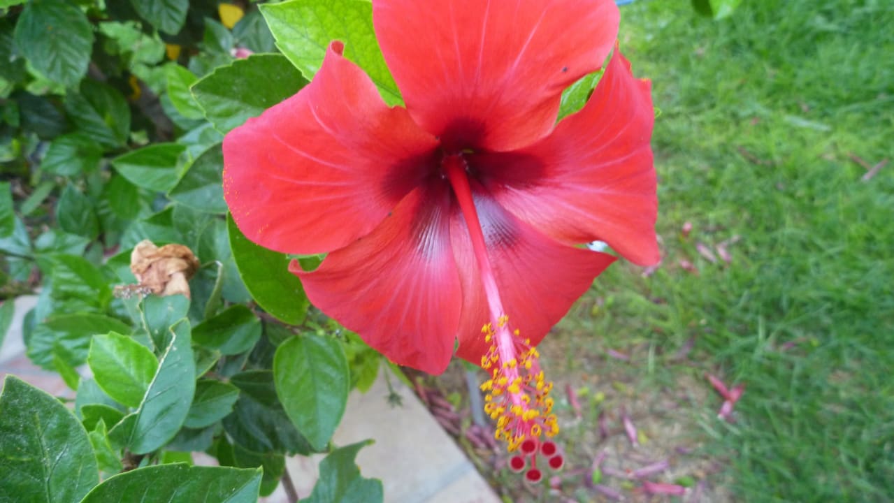 Sonstiges Santa Marina Beach