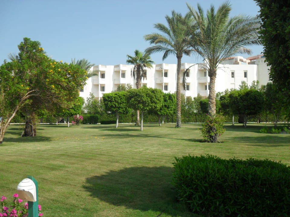 Gartenanlage Desert Rose