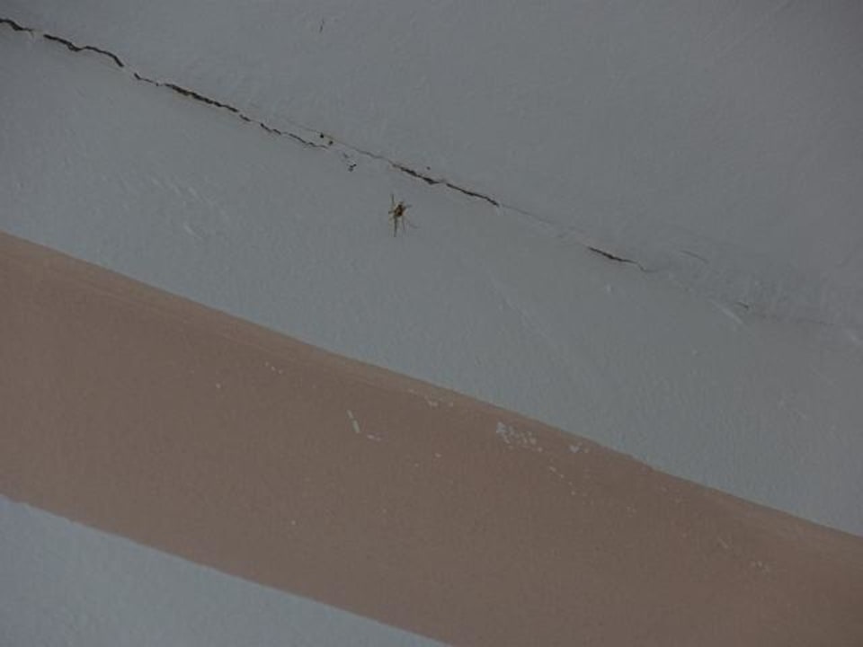 Mahlzeit Ringhotel Nebelhornblick