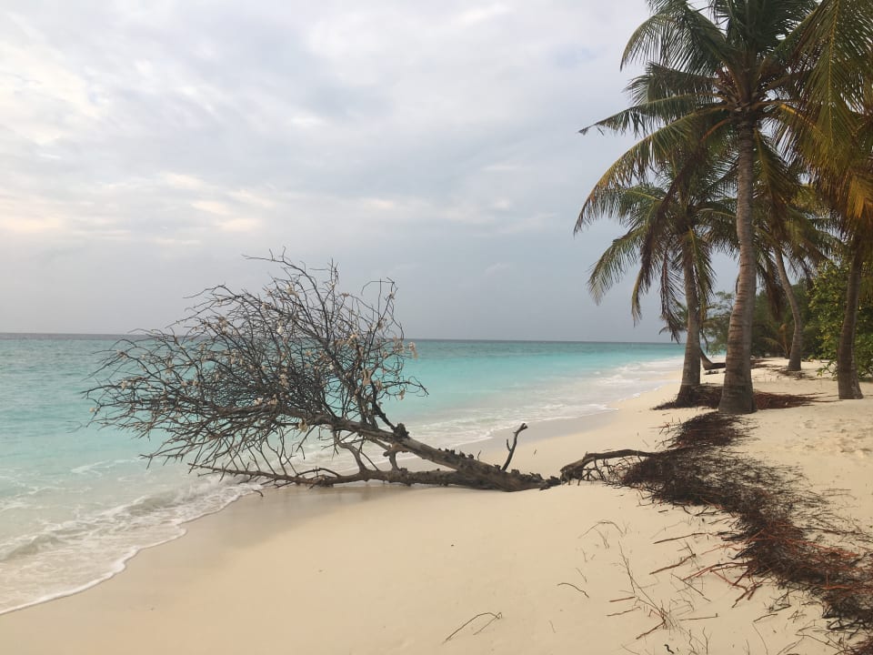 Strand Kuredu Island Resort & Spa
