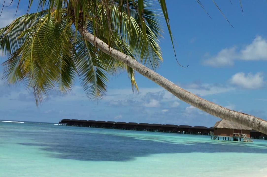 Super für Urlaubsfotos Meeru Maldives Resort Island