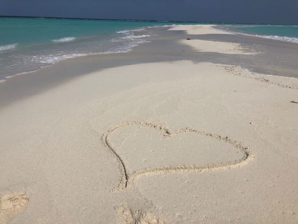 Sandbank Kuramathi Maldives