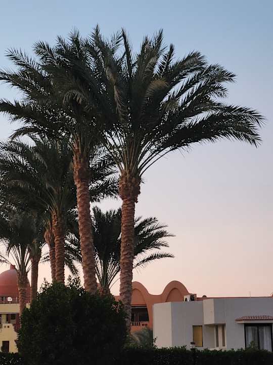 Gartenanlage Pharaoh Azur Resort