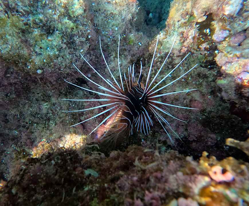 Strand Brayka Bay Resort