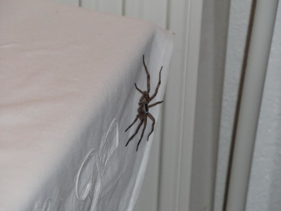 Das hatten wir zu sehen, wenn wir vom Abendessen  Hotel Geranion Village