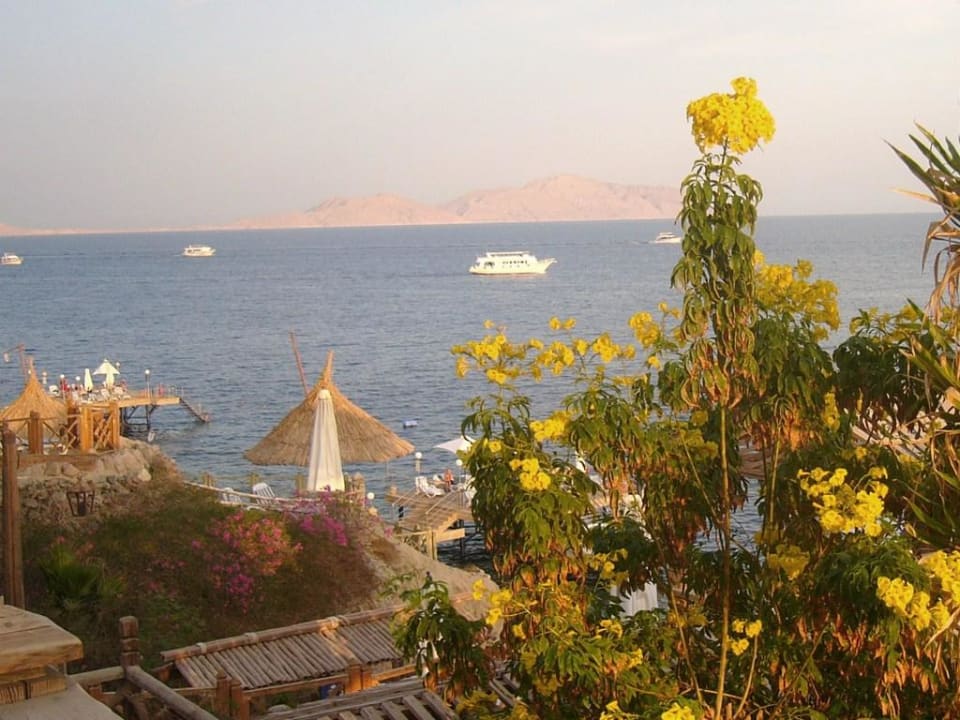 Meerblick von der treasure cove Pickalbatros Golf Beach Resort