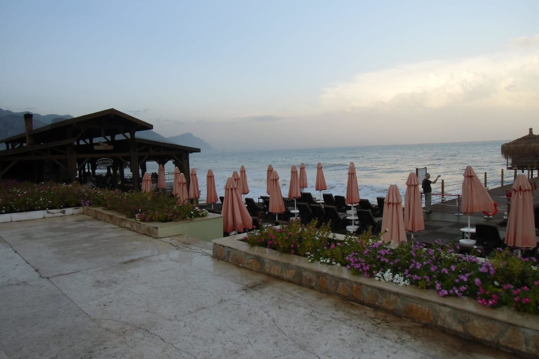 Weg zum Strand Crystal Flora Pearl Collection