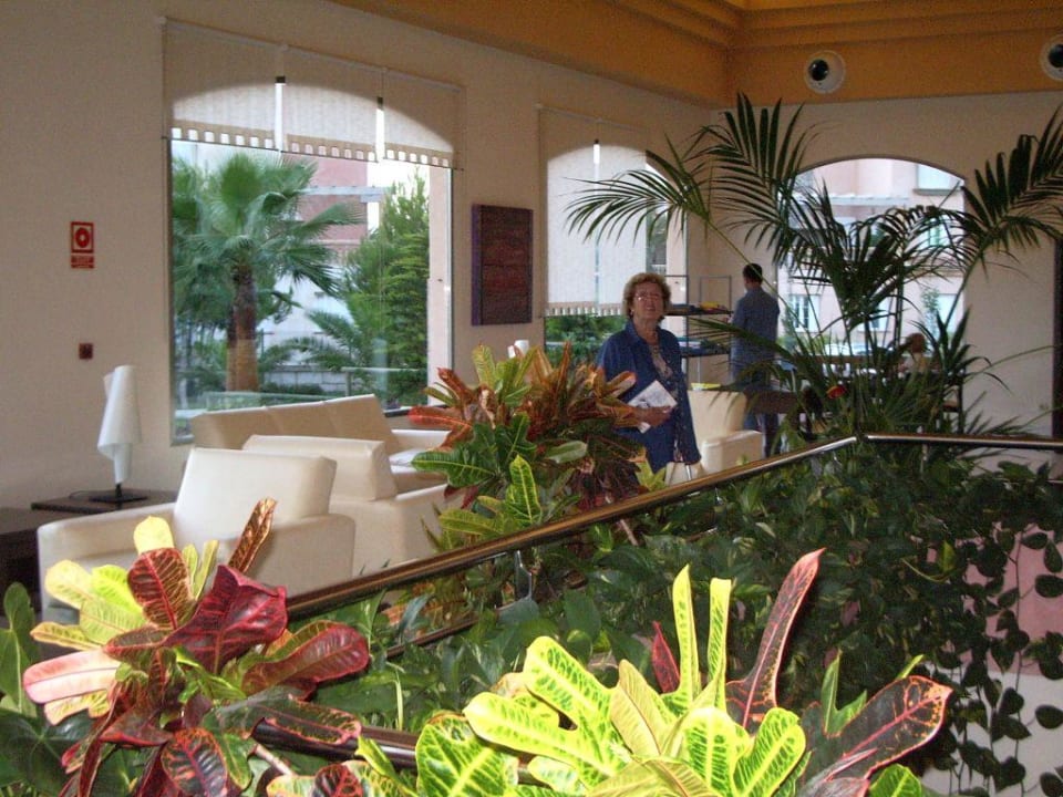 Lobby Zafiro Mallorca