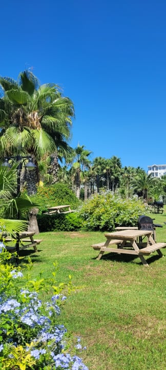 Gartenanlage Royal Atlantis Beach Hotel
