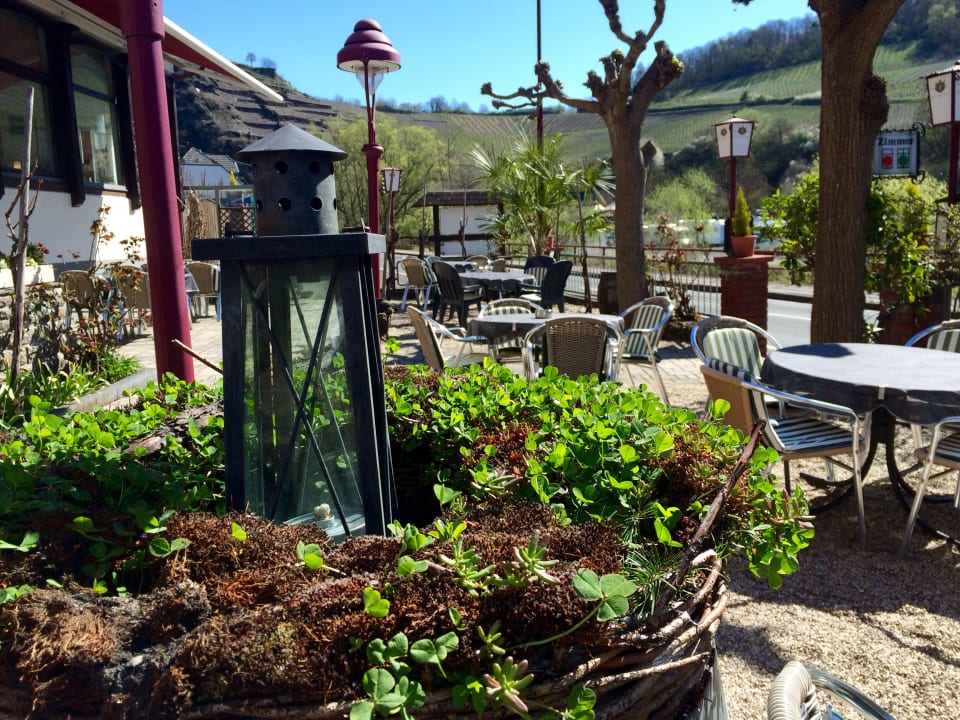 Gartenanlage Hotel Weinhaus Kläs & Sohn