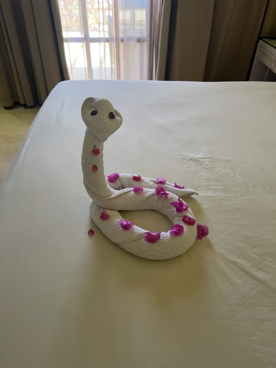 Zimmer Makadi Spa - Adults only