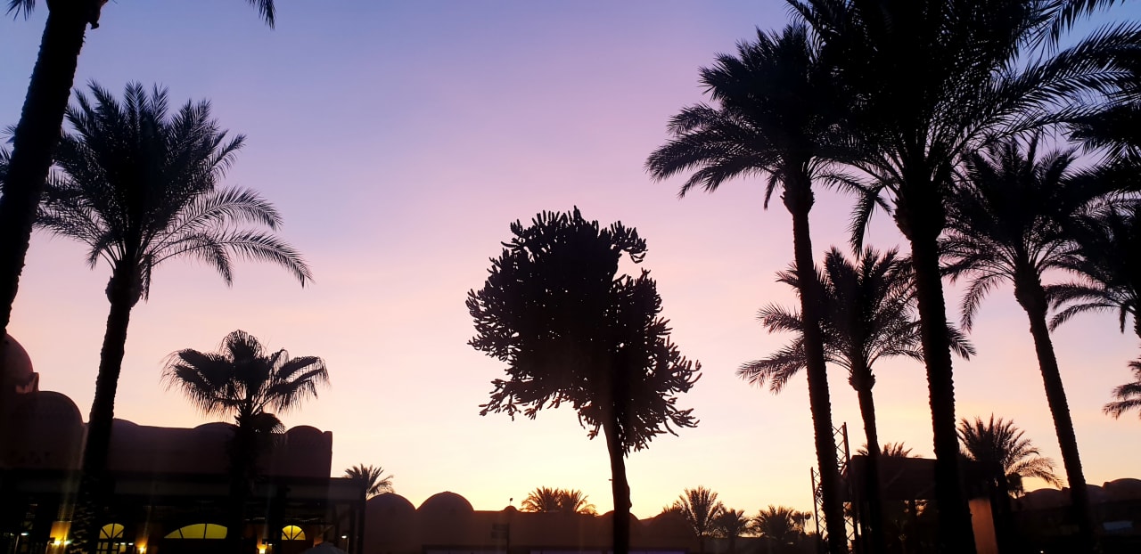 Gartenanlage Jaz Makadi Oasis Resort