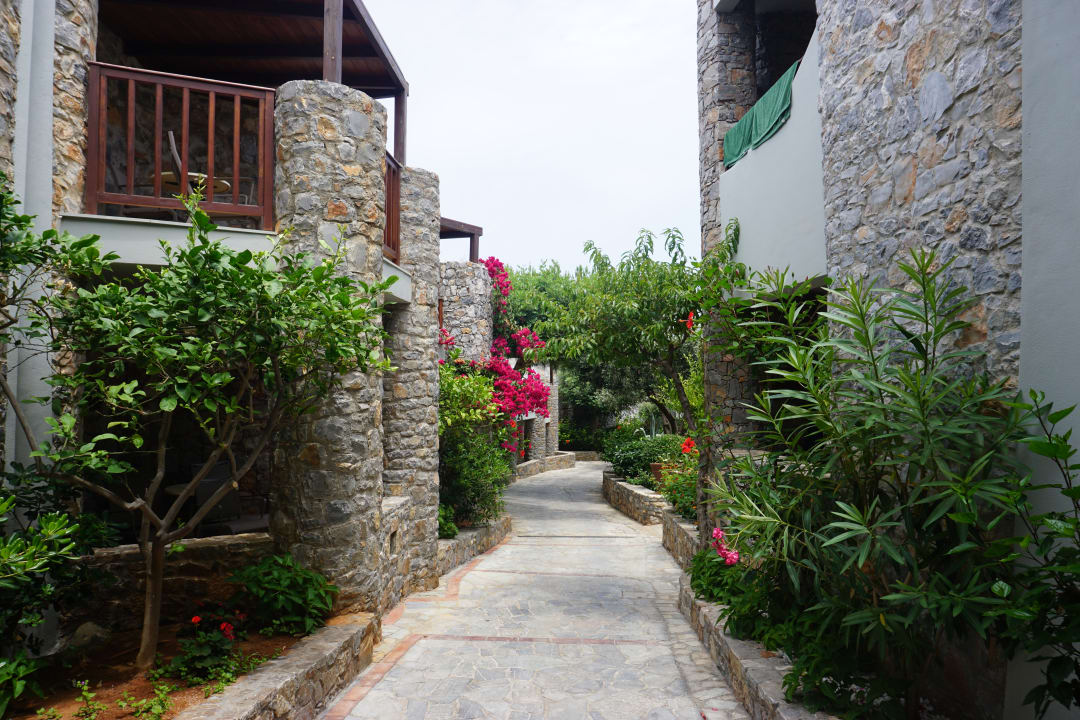 Gartenanlage Ikaros Beach Luxury Resort & Spa - Adults Only