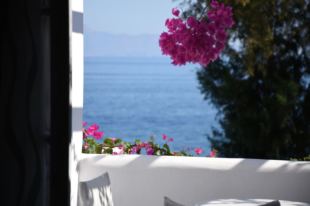 Zimmer Arion Bay