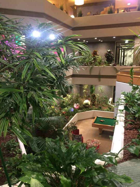 Wunderschöne Bepflanzung im ganzen Hotel Parkhotel Cup Vitalis