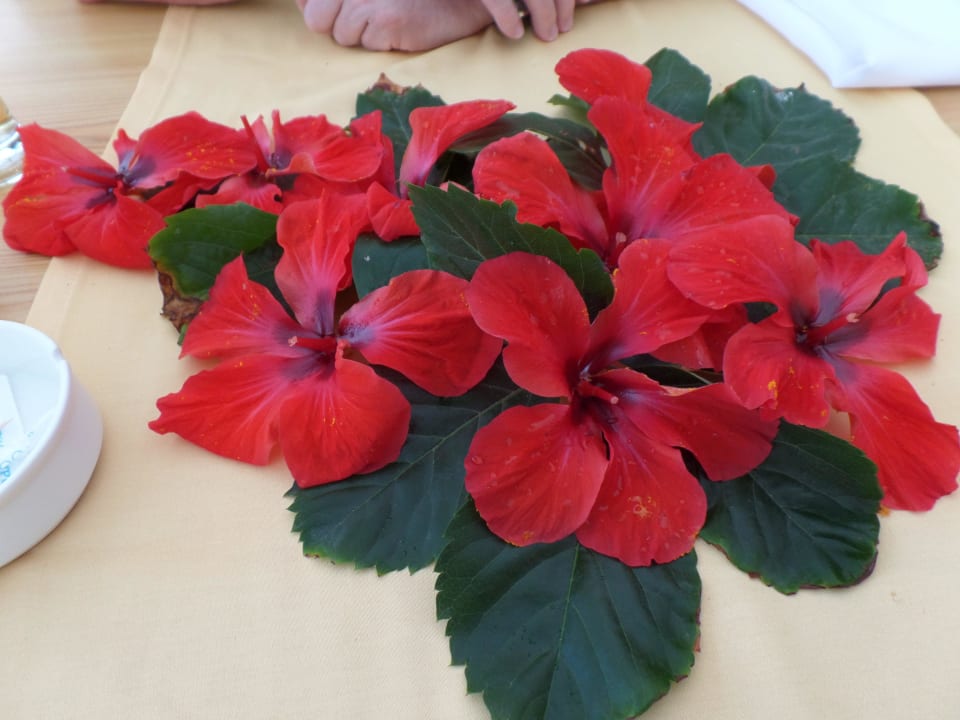 Blumen beim Essen zum Abschied Hotel Defne Garden